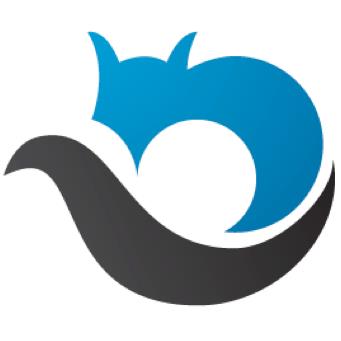 PractiTest_logo